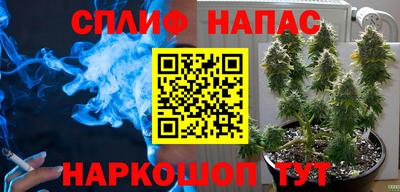 трава Сланцы