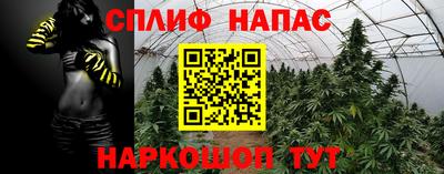 трава Сланцы
