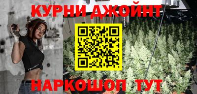 трава Сланцы