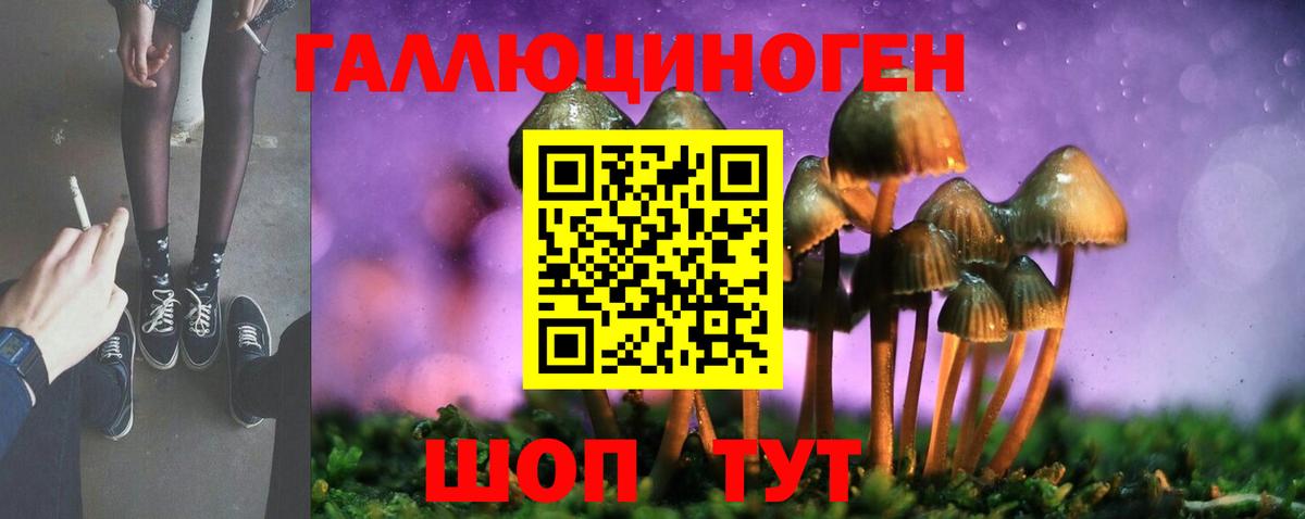 Псилоцибиновые грибы GOLDEN TEACHER Надым